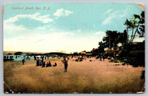 Oakland Beach  Rye  New York   Postcard   1911