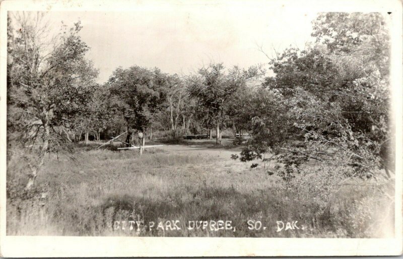 Dupree South Dakota~Trees Spread Throughout the Grove @ City Park~1939 RPPC 
