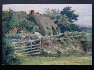 Hampshire New Forest COTTAGE NEAR BROCKENHURST W.Tyndale c1904 Postcard