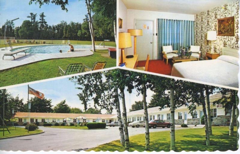 Lido Motel Toronto Ontario ON Pool Interior Cars Multiview Vintage Postcard E12