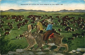 1950 Rounding Up Cattle on (Giant) Jack Rabbits in the West - Linen Postcard