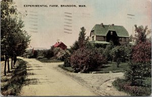 Brandon Manitoba Experimental Farm #4891 Warwick c1911 Christie's Postcard E95