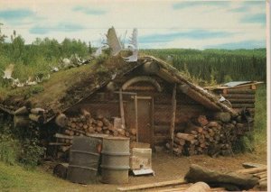 Alaska Trapper's Cabin 55 Gallon Drums Logs Continental Postcard