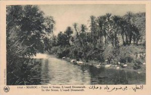 Morocco Maroc In The Souss L'oued Doumeult 1920-30s