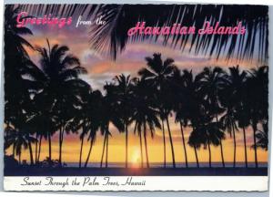 Greetings from the Hawaiian Islands - Sunset through Palm Trees Hawaii