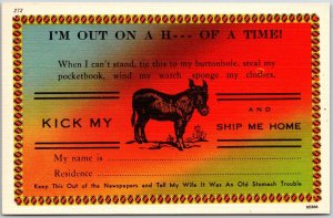 Kick My Ass And Ship Me Home Out On A Horse Of A Time Comic Card Postcard