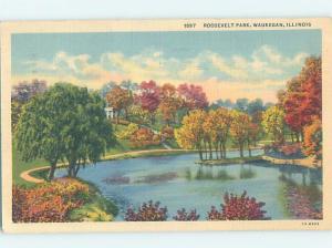 Linen PARK SCENE Waukegan - Near Chicago Illinois IL H3123