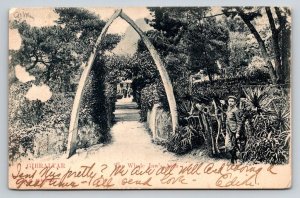Gibraltar  The Whale Jaw's Arch  Postcard
