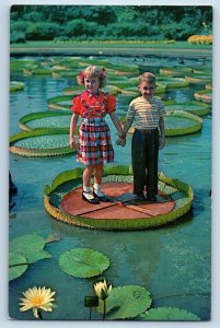 St. Louis Missouri MO Postcard Water Platter Amazonian Water Lily c1960 Vintage