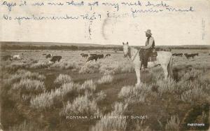 1906 Montana Cattle Range Sunset undivided Calkins postcard 1536