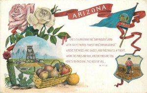 Postcard Arizona Civic Booster Agriculture mining C-1910 23-1758