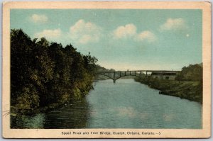 Postcard Guelph Ontario Speed River and Foot Bridge Wellington Coutny by PECO