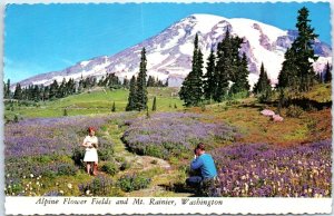 M-51107 Alpine Flower Fields and Mt Rainer Mount Rainier National Park Washin...