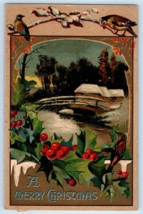 Christmas Postcard Holly Berries Birds Winter Scene Embossed Boston MA 1910