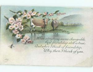 Divided-Back ANIMAL SCENE Great Postcard AA9591