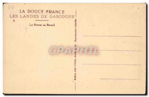 Landes Old Postcard The homecoming