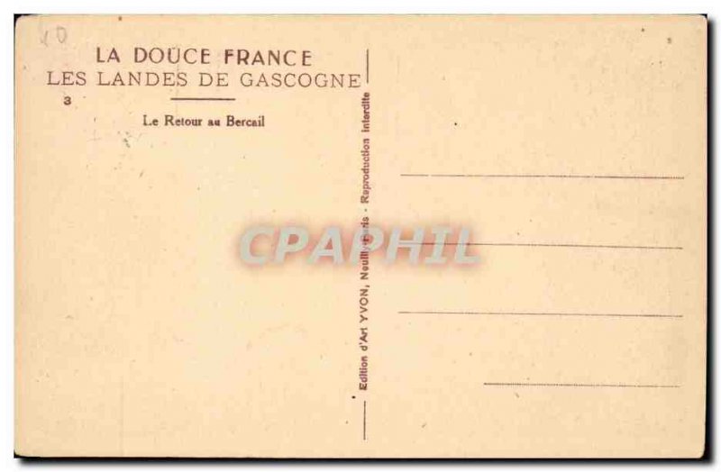 Landes Old Postcard The homecoming