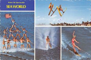 BR88807 water ski sea world usa  sports