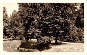 River Rouge at Riverside Park, Plymouth MI Vintage Postcard J59