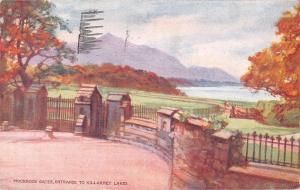 uk27375 muckross gates entrance to killarney lakes ireland