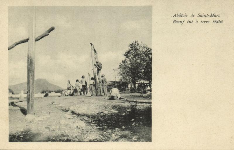 haiti, SAINT-MARC, Slaughterhouse, Cow being Killed (1899)