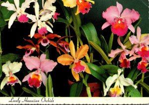 Hawaii Lovely Hawaiian Orchids 1976