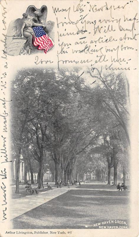 New Haven Connecticut~New Haven Green~Lots of People @ Park?~1904 Postcard