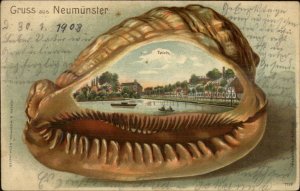 Gruss Aus Neumunster Germany Shell Seashell Border 1903 Used Postcard