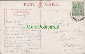 Genealogy Postcard - Peck, 11 Osborne Road, Leyton, Essex GL1494