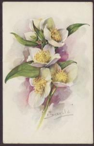 Flowers,Barde Postcard 