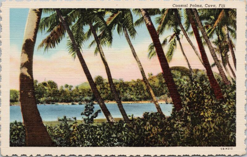 Coastal Palms Fiji Palm Trees UNUSED Vintage Linen Postcard D99