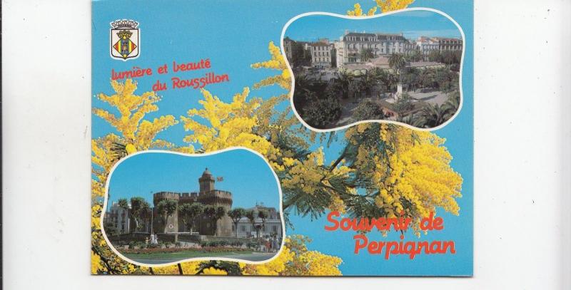 BF19991 perpignan place arago le castillet france front/back image