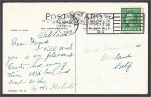 Easter Postcard White Rabbit Head with Ears Down 1916