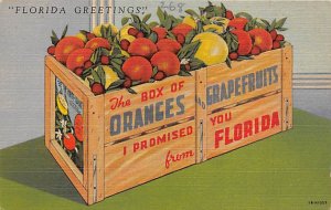 Florida Greetings Boxes of Oranges and Grapefruits Citrus Unused 