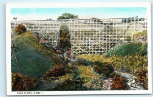 Cane Flume Hawaii Vintage Postcard D12