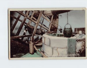 Postcard Donkey in the Well House, Carisbrooke Castle, Newport, England