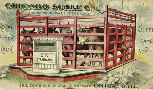 1870-1900s Chicago Scale Co Trade Card Stock Cattle Cow Rack