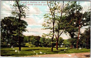 Postcard ROAD SCENE Cedar Rapids Iowa IA AL2524