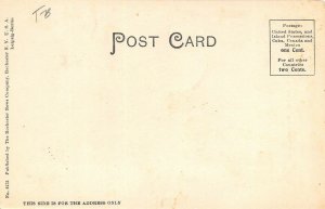 LPO36 Painesville Lighthouse  Ohio Postcard 