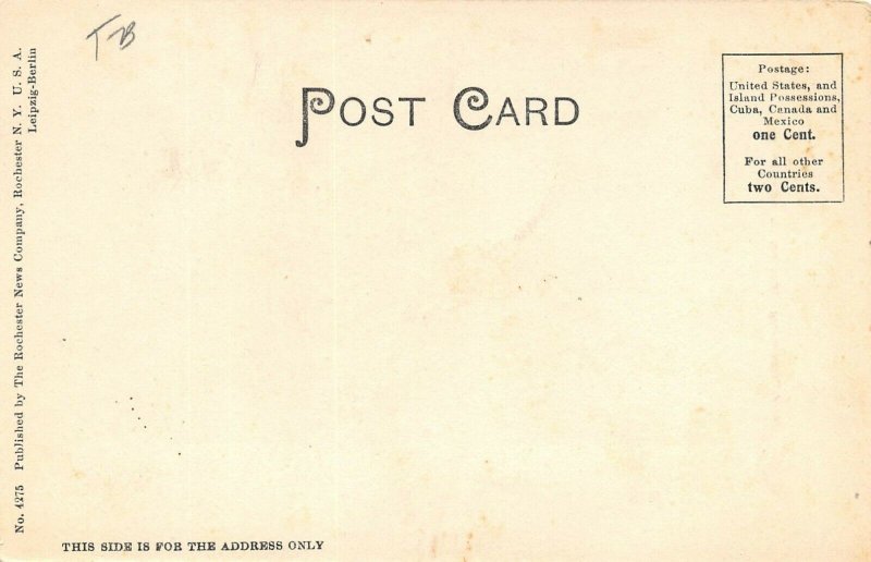 LPO36 Painesville Lighthouse  Ohio Postcard 