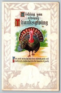 Wishing You A Happy Thanksgiving  Turkey  Postcard  1912