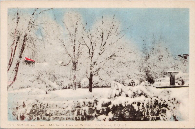 Mitchell's Park in Winter Sherbrooke Quebec QC Que Unused PECO Postcard H40