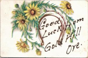 Good Luck From Gold Hill Oregon, Horseshoe Vintage Postcard K02