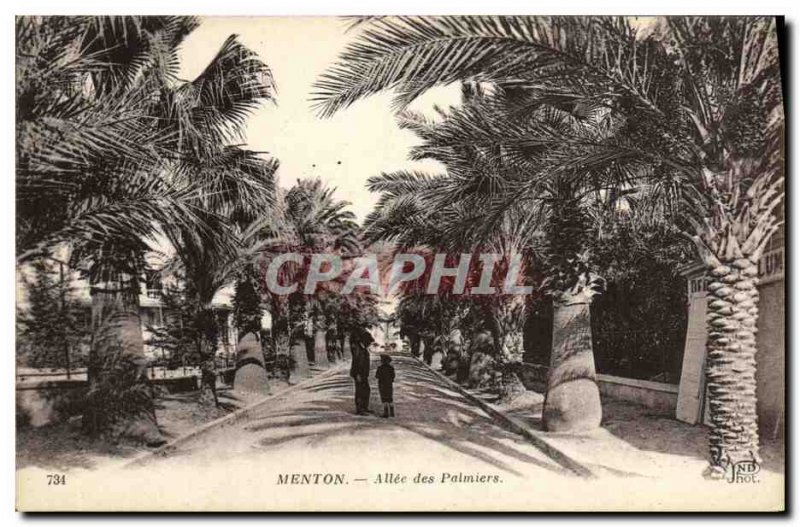Old Postcard Menton Allee des Palmiers