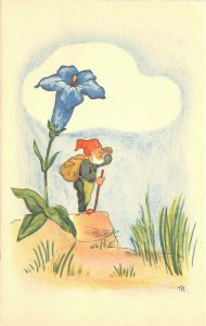 Artist impression Blue Bell Flower Fantasy 1930s Gnobe 20-8155