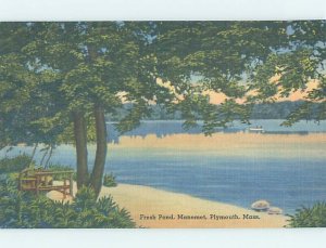 Linen NATURE SCENE Plymouth - Near Brockton Massachusetts MA AD6577