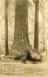 California General Fremont Santa Cruz Trees 1940s RPPC Photo Postcard 22-958