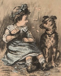 1880s Dr. Morse's Indian Root Pills Markham Drug Store RA Mason Ontario, CA F172