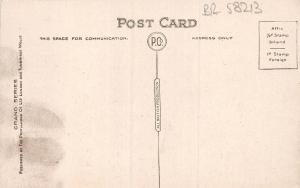 BR58213 the pavilion east  brighton    uk