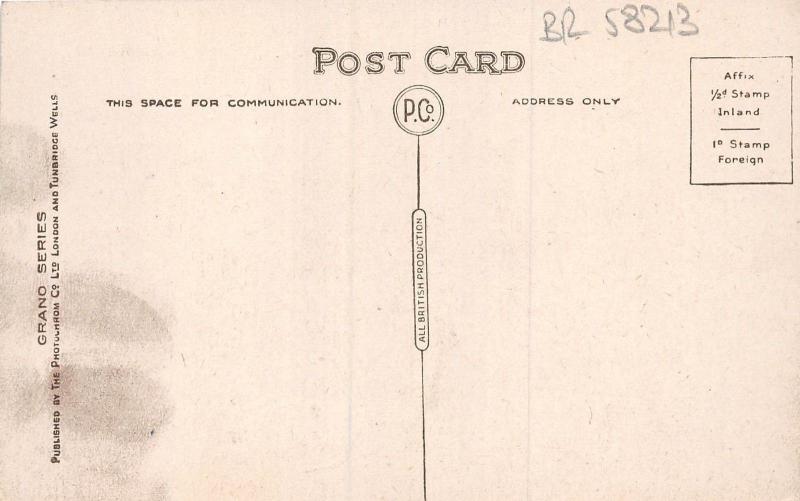 BR58213 the pavilion east  brighton    uk